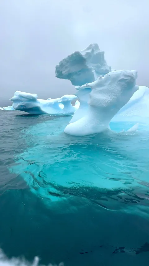 My trip to Antarctica: icebergs, penguins, sleeping on the ice etc.