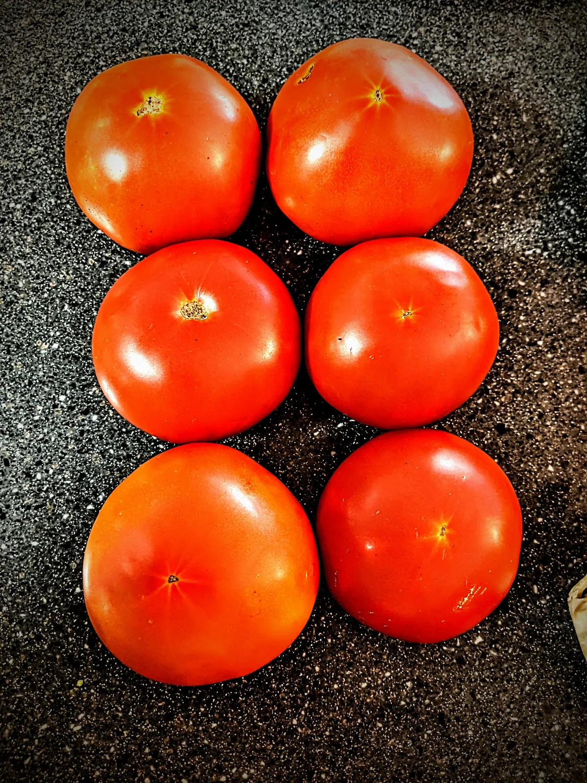 Here is the results of my tomato grow using seeds from a Burger King Whopper. They look incredible 🍅