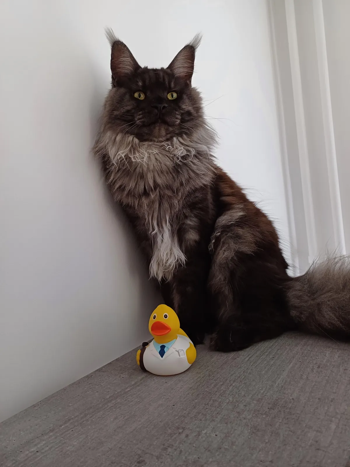 Théoden turned 1 year old.