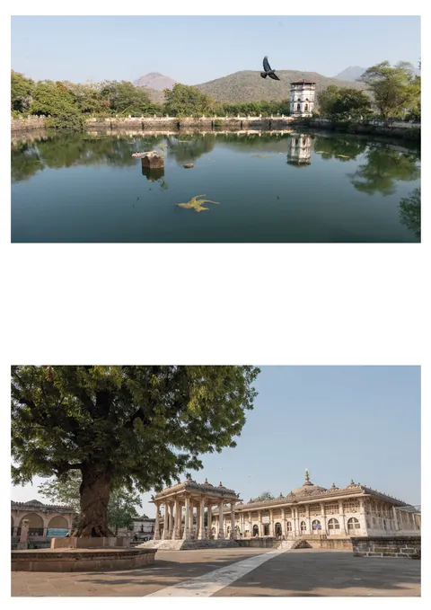 Exploring Gujarat, Western India – january 2026