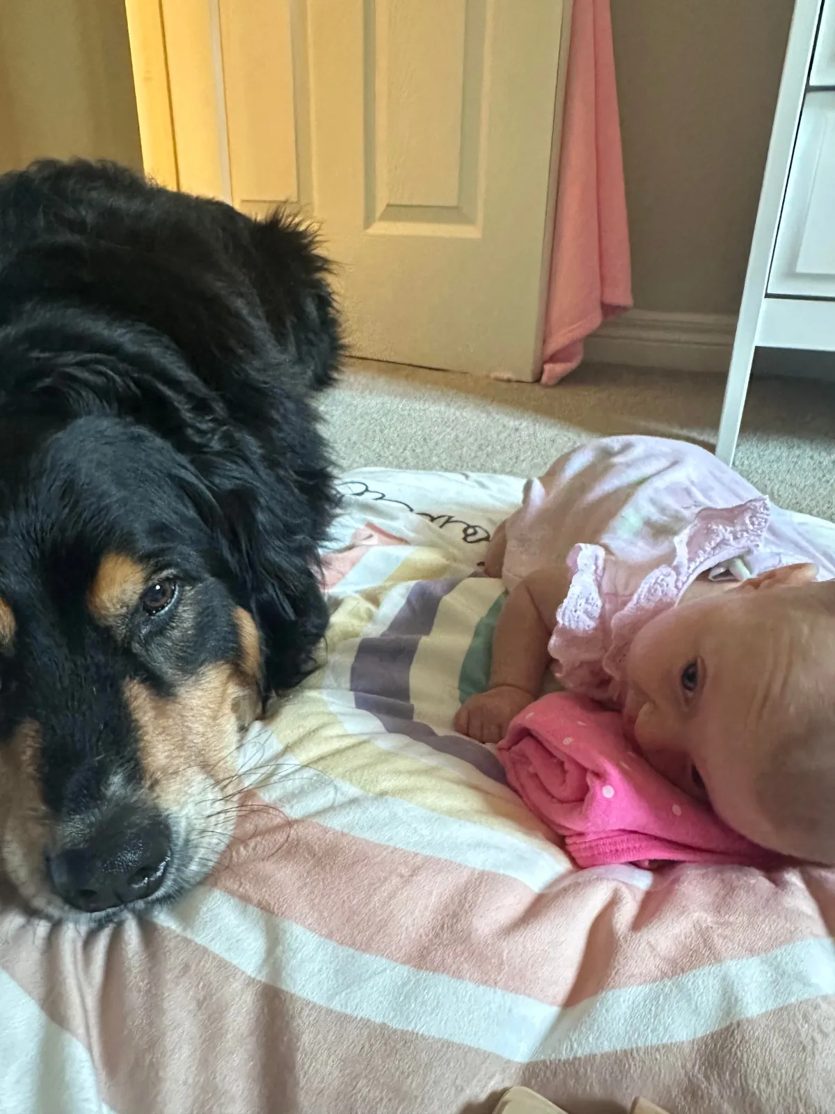 6 years later and we have a wise older brother in the making. ❤️🥰