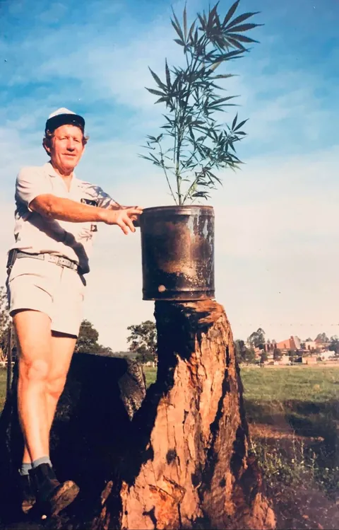 My grandparents with some “tomato plants” they “found”. Circa 1980’s Australia.