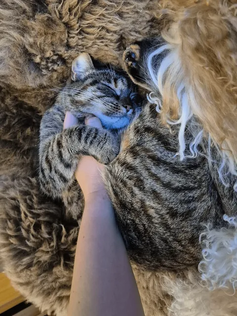 She wanted me to hold her hand while she was sleeping ❤️