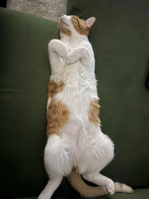 Some things never change