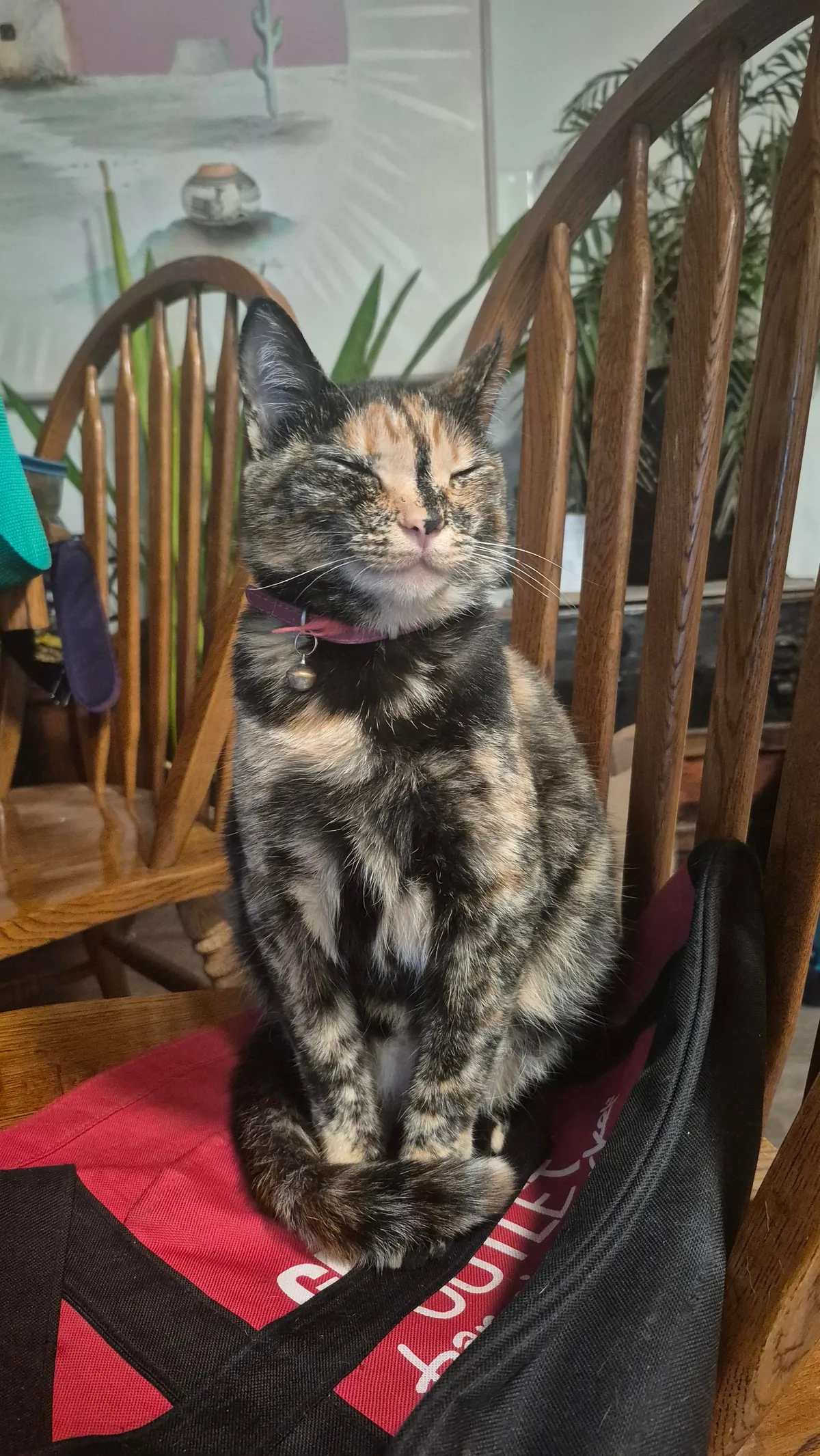 Before and after I told Kai she was pretty