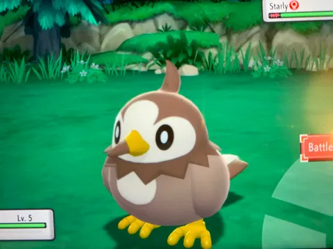 I started my Pokémon shining Pearl for the first time and got a shiny starly in the scripted encounter. It’s a sad time.
