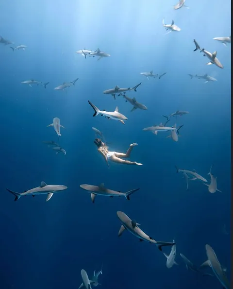 Photographer Rachel Moore captures stunning Photos of whales and sharks