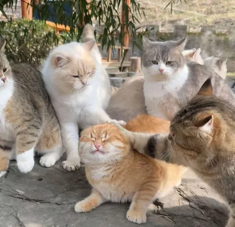 always the orange one 😥