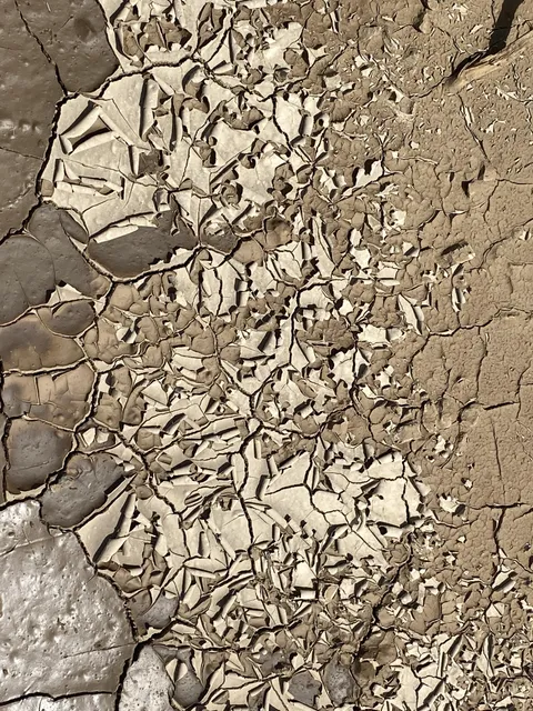 Things I find neat day 145; mud curling up as it dries, wish I knew why it does that