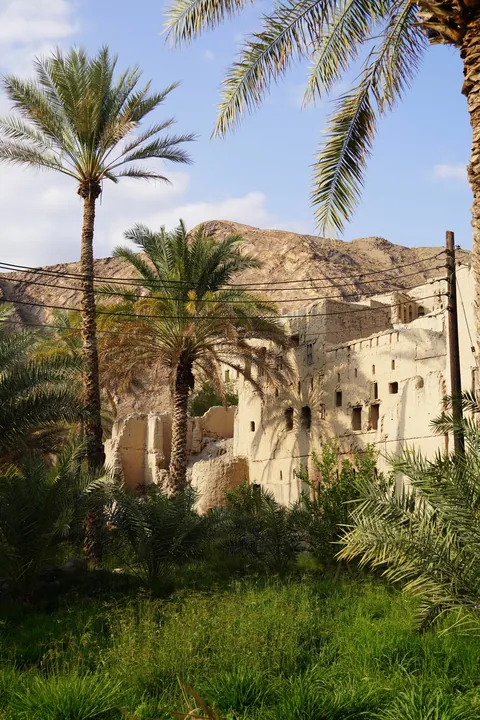 Oman: the most incredible nature in the Gulf! (Dec 2025)