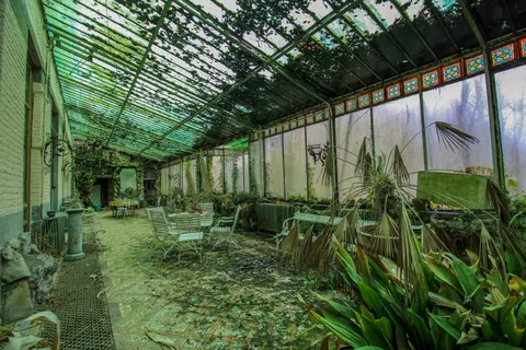 The greenhouse, Belgium