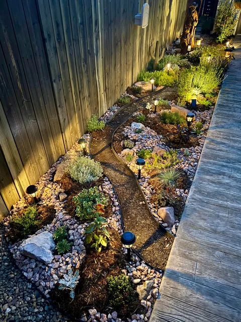 My 2nd year gardening, and I’m proud to share ‘em!