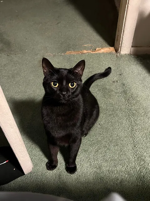 How it started vs. how it’s going