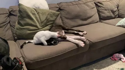 Wake up and play sis!