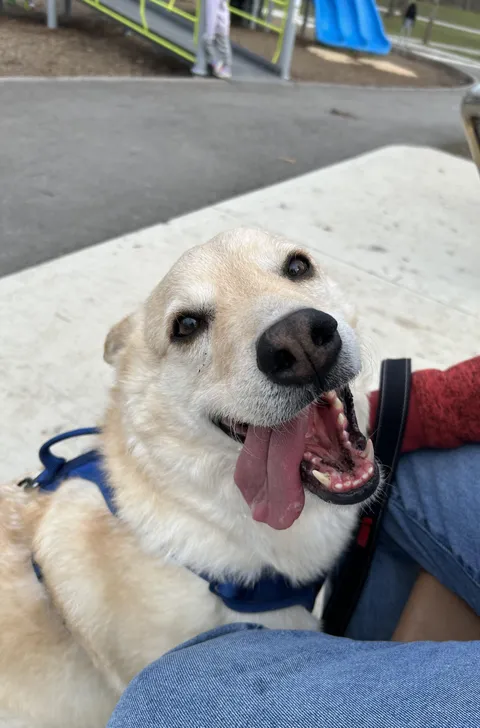 His power is that you can’t help but smile when you see his smile 😄