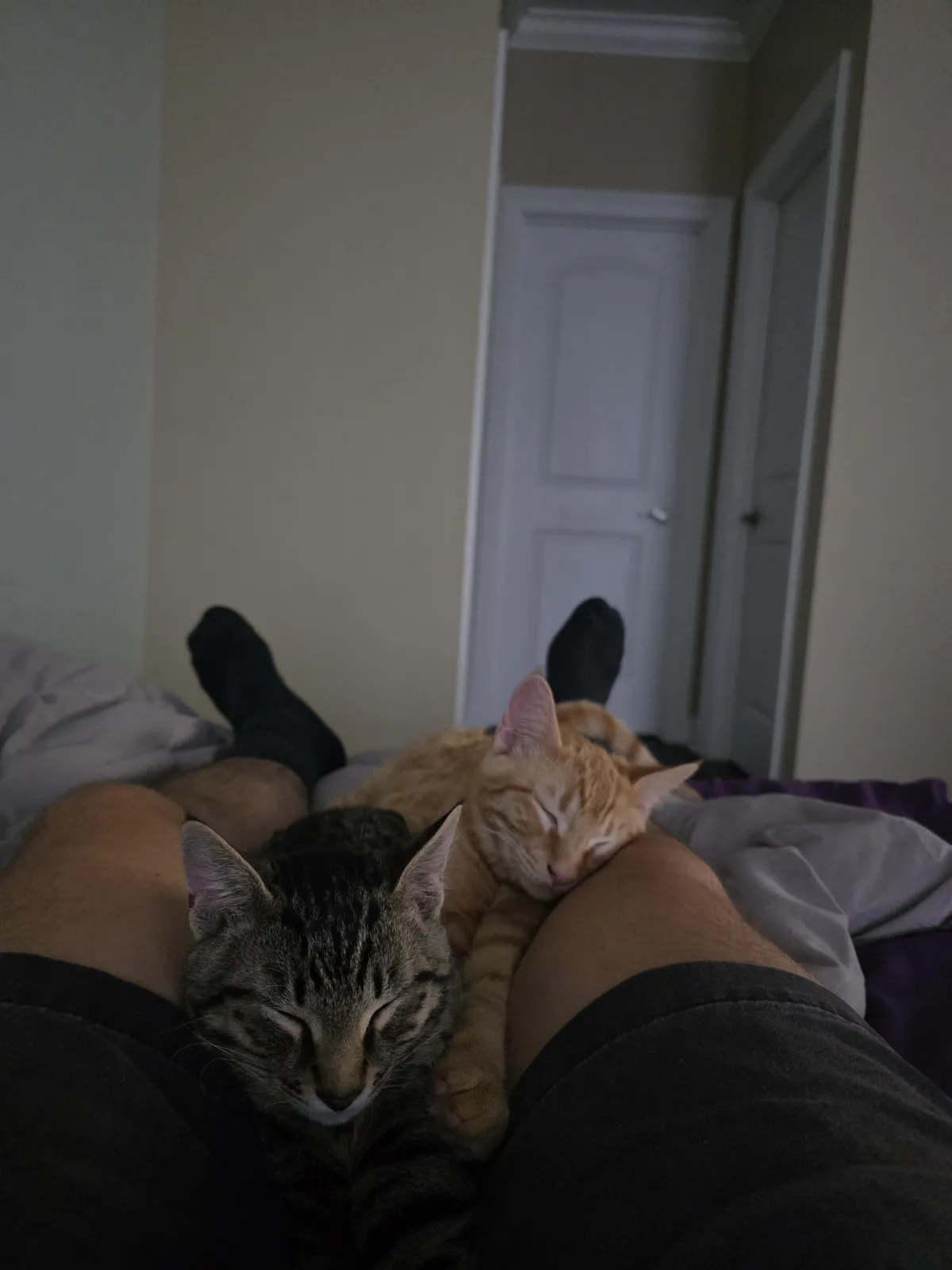 These dudes shredded my shower curtain but I cant stay mad at them for long.