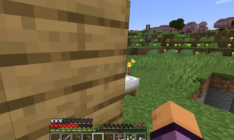 Hey I haven't played Minecraft in over a decade so I'm a little behind the times, but WTF ARE THESE THINGS, I'm scared