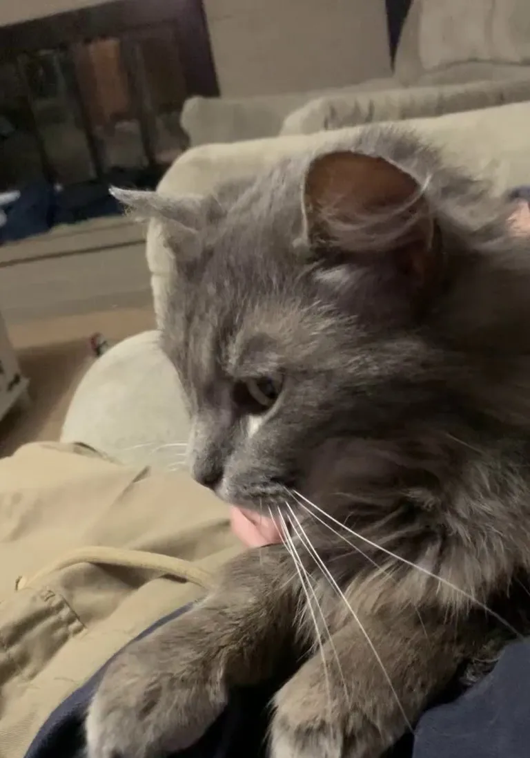 Little does she know that in less than 2 weeks I will leave this house and never see her again…