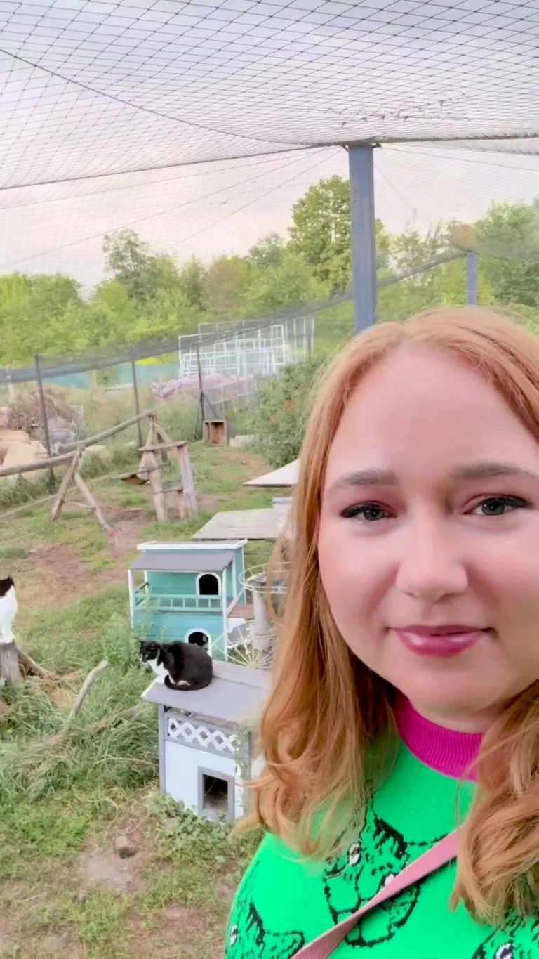 Ever wondered how a cat hospice looks? I volunteer at one