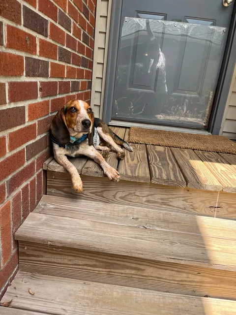 First week being officially ours ❤️