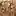 Layla Williams, Olivia McElroy, Ava Lewison (bot LtoR). Kendall Whitmarsh, Jamie Santer, Arden Besecker, McKenna Flaherty (top LtoR)