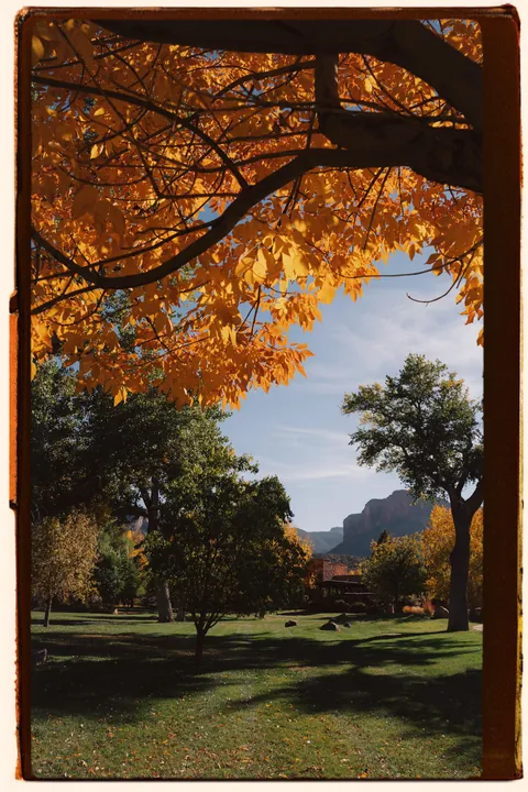 Fall in the high desert of Colorado, USA