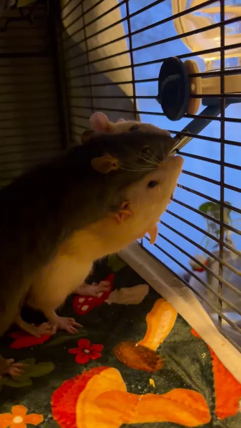 Fresh water!!! Cus you know…second water bottle doesn’t count.