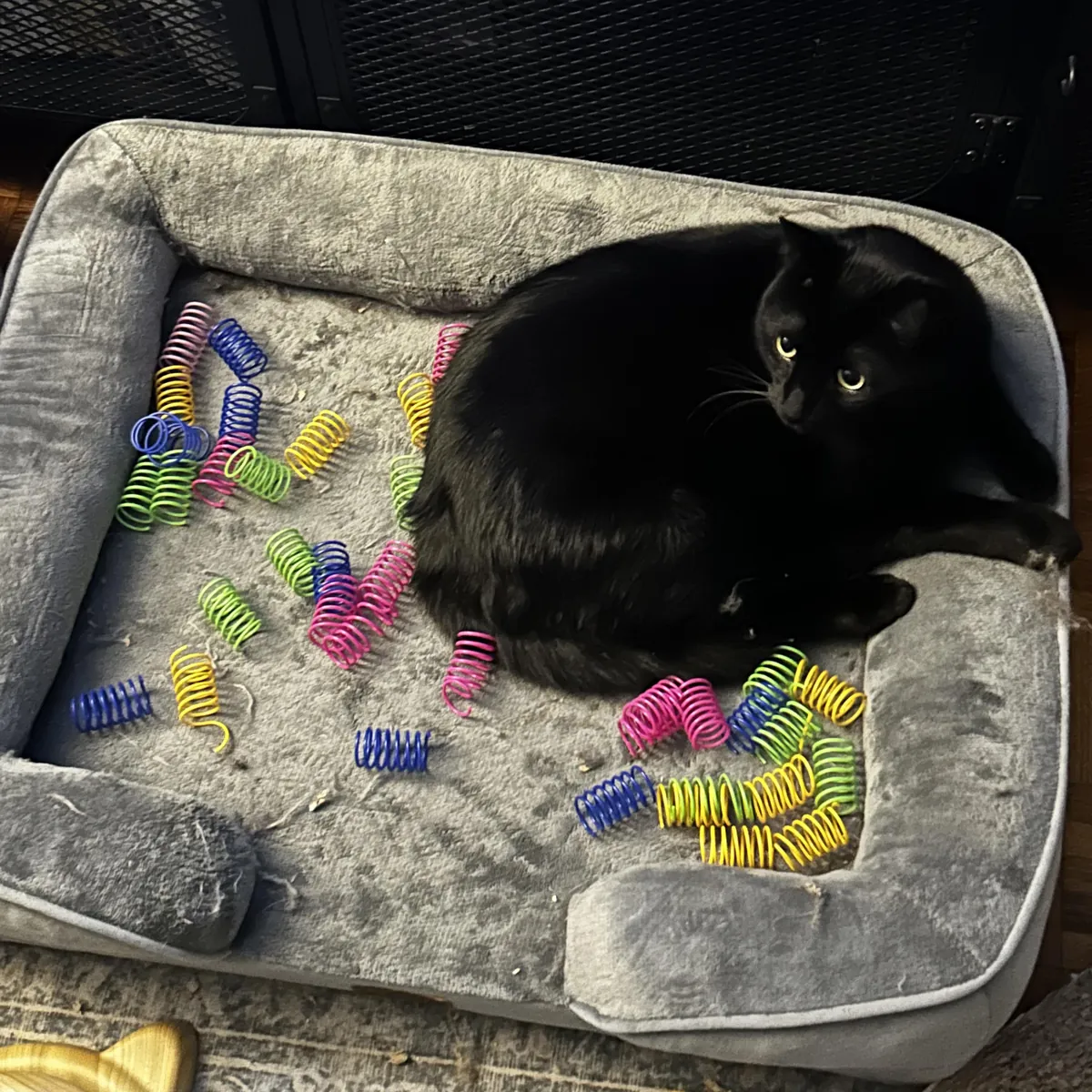 Found his stash behind the couch