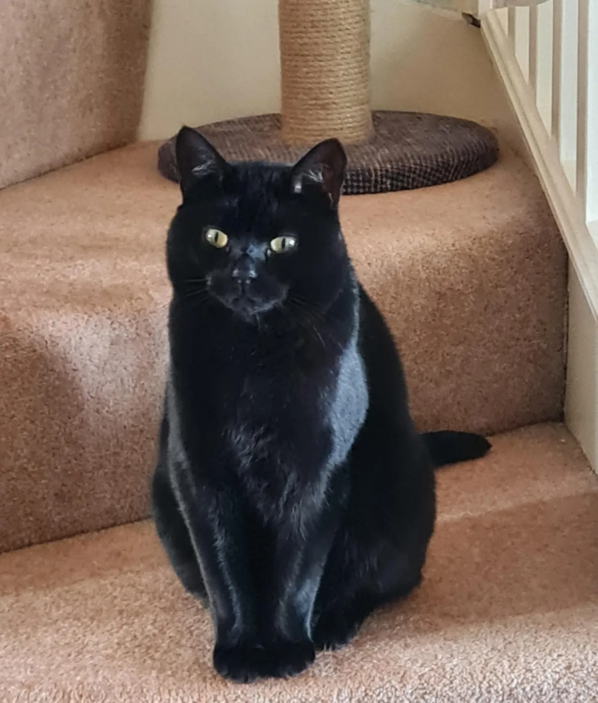 Does everyone think their void could be a model or is it just me?