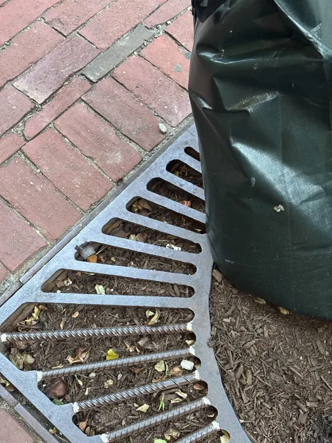The grates surrounding this sidewalk tree has had parts replaced with rebar