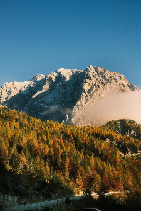 Didn’t know Slovenia was This Pretty in Fall 🍂🏞️