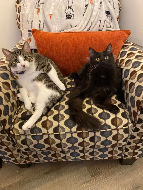 Before and After: Happy First Birthday Maevis!