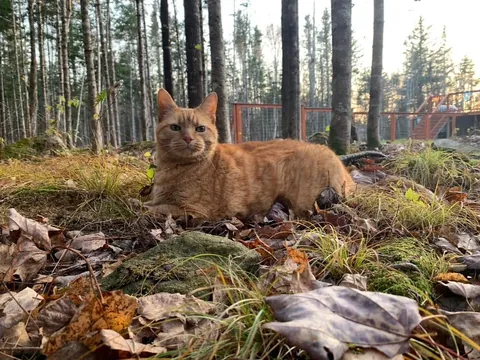 Celebrated his 19th birthday in September.