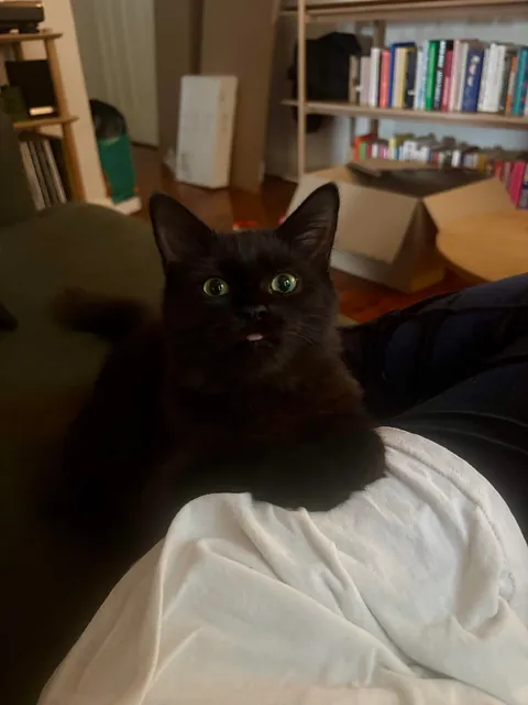 Our new lil man Squid