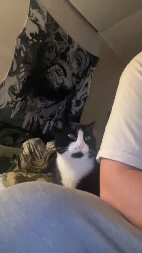 I couldn’t imagine a life without him 😌