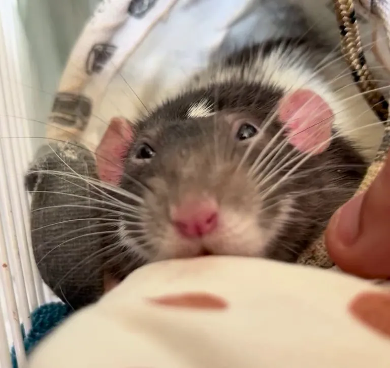 Is my quarantine baby ok? 🥹