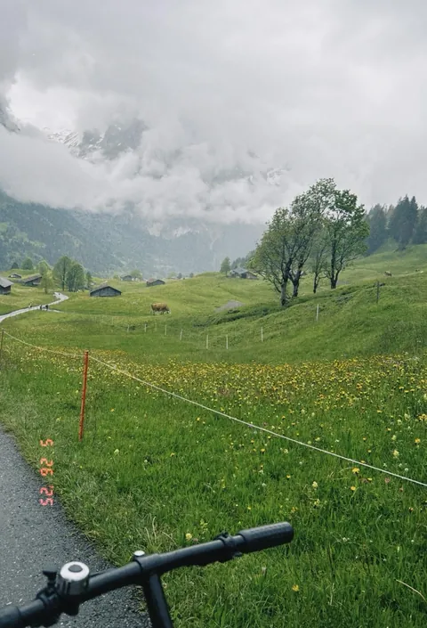 My trip to switzerland