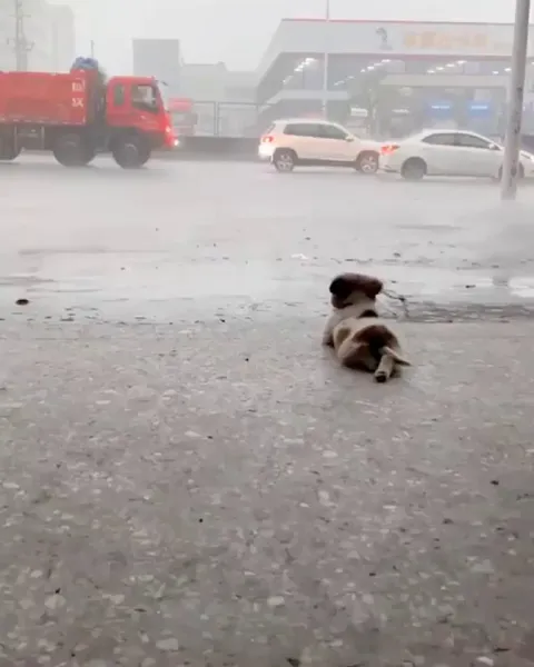 Just watching it rain