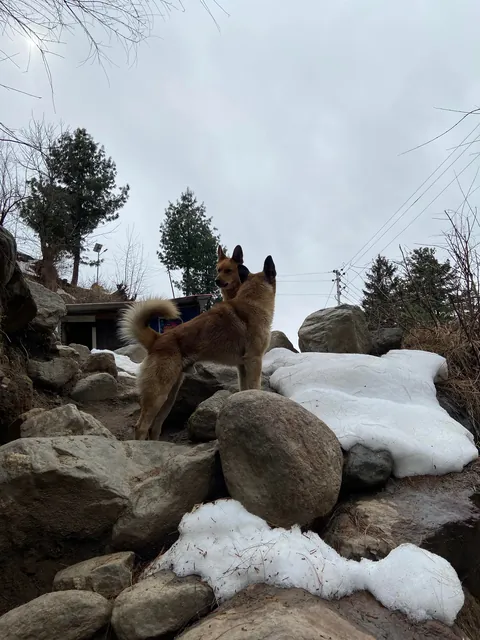 My Trip Around India