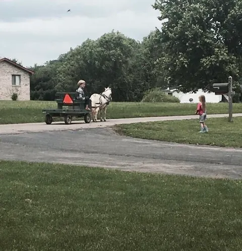 My cousin made secret friends with the little Amish boy down the road and he brings his little cart and horse to come say hi to her every few days.