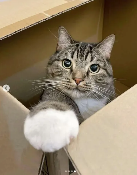 The last thing you ate is his name