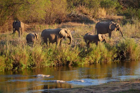 South Africa &amp; Zimbabwe