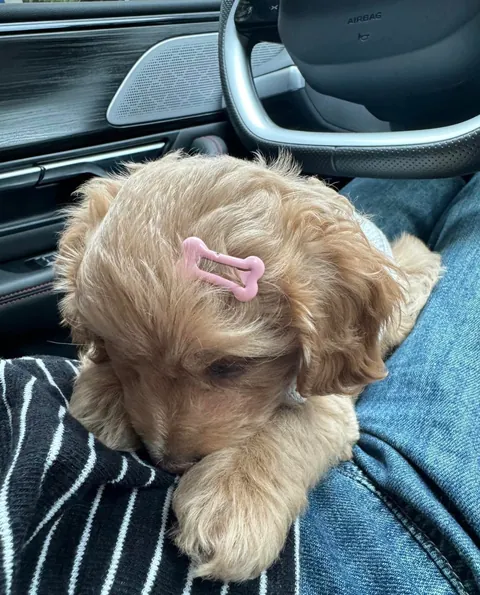 She is a real baby pup and she really is this cute