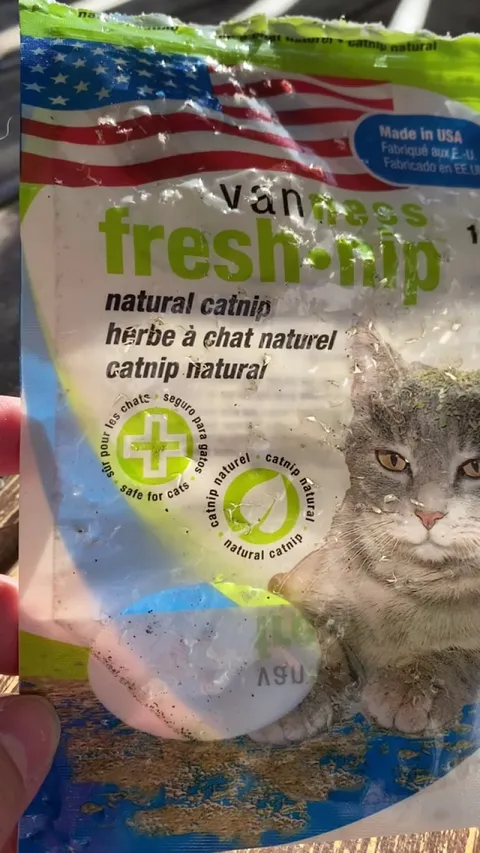 Who got into the catnip? Was it you?