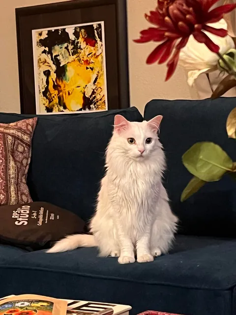 Does anyone else find her downright adorable?