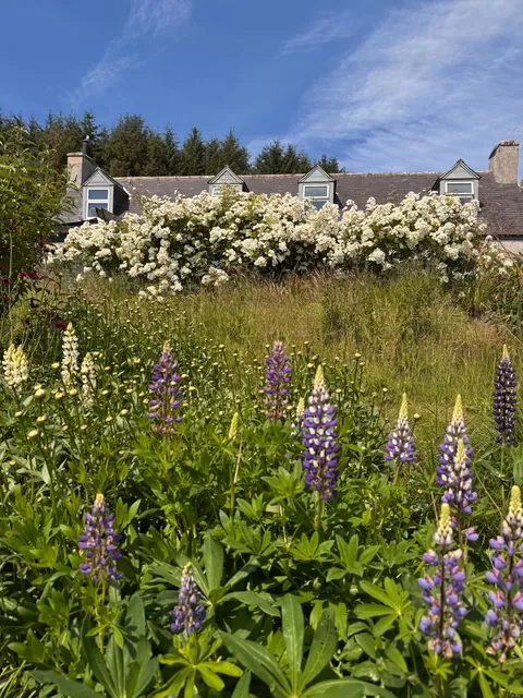 My Scottish Garden