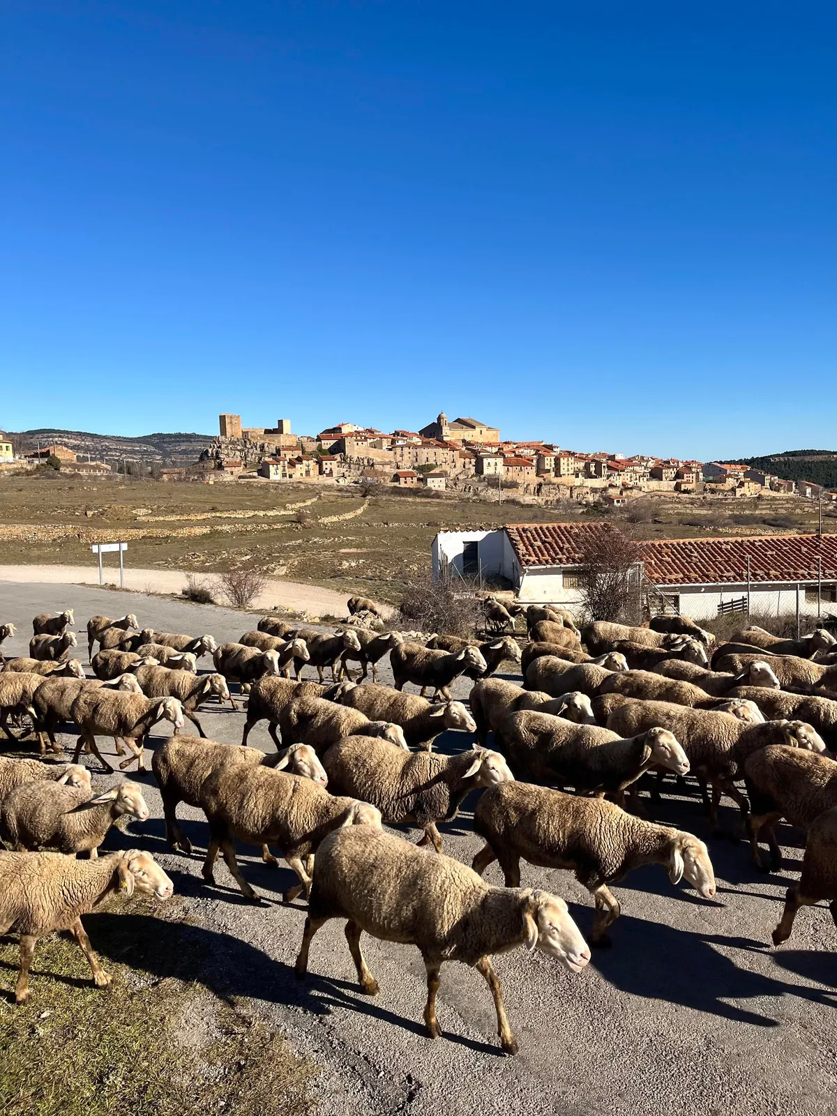 Some more pretty pueblos