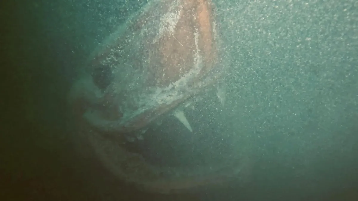 There’s a horrifying shark statue at the bottom of Lake Neuchâtel in Switzerland.
