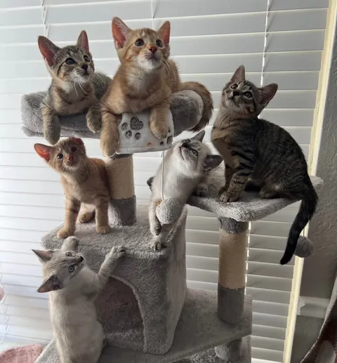 Kept the family together