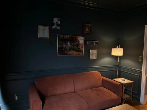 Dining Room Turned Library